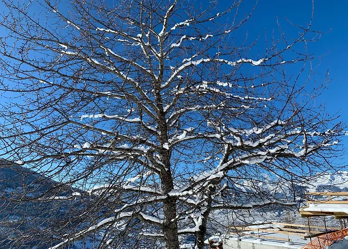 La Cure De Bed and Breakfast